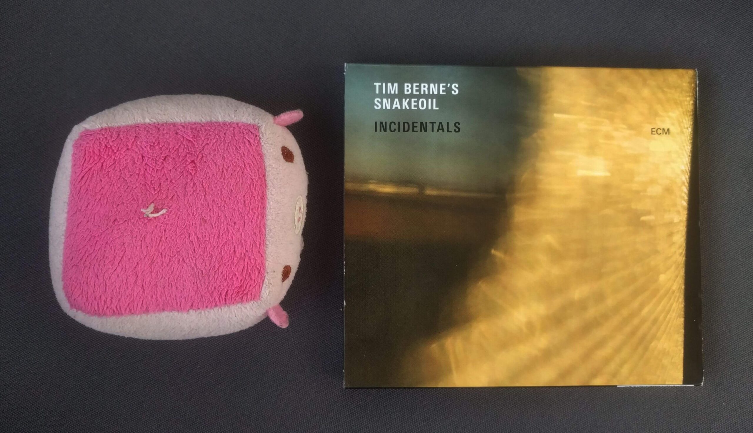 Tim Berne’s Snakeoil – Incidentals