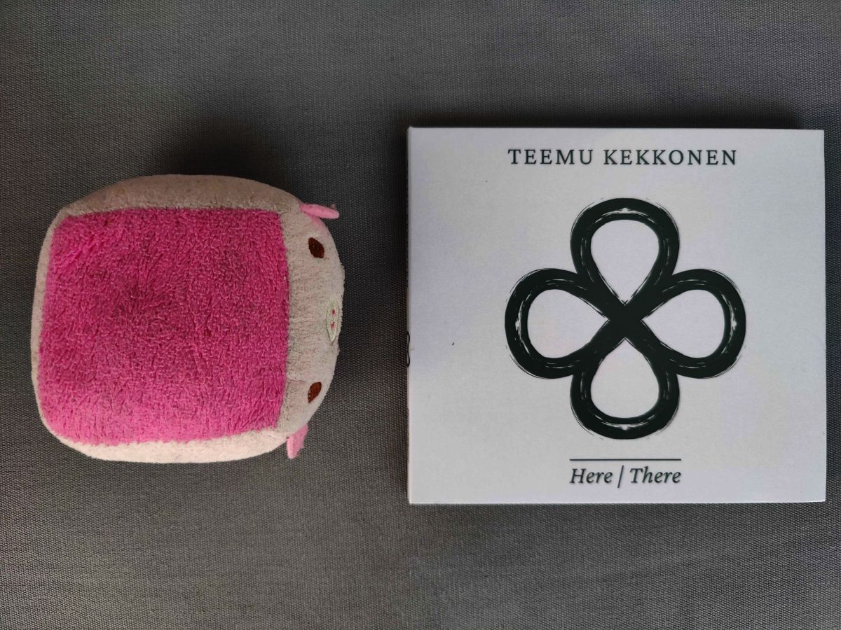 Teemu Kekkonen – Here/There